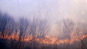 Вертолеты помогли потушить более 40 лесных пожаров в Хабаровском крае