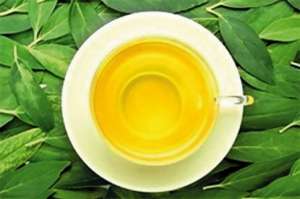 Зелёный чай принесёт больше пользы для здоровья, если его пить с сахаром и лимоном