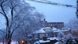 Власти Нью-Йорка закрыли школы из-за сильнейшего снегопада